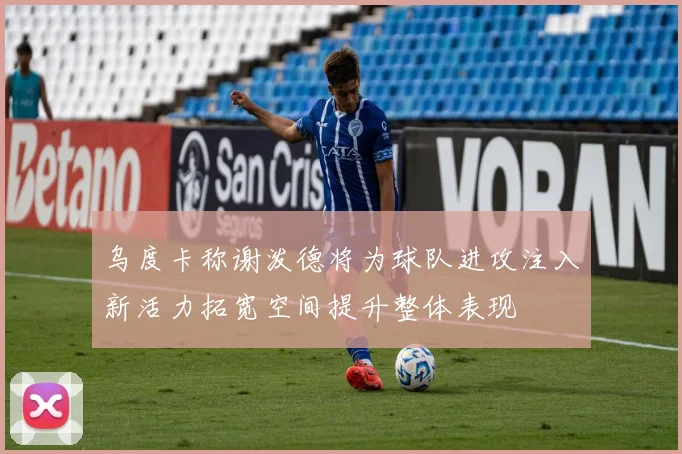 乌度卡称谢泼德将为球队进攻注入新活力拓宽空间提升整体表现