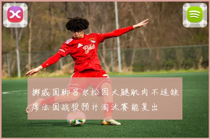 挪威国脚吕尔松因大腿肌肉不适缺席法国战役预计淘汰赛能复出