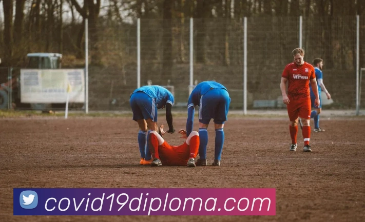 互动解说服务